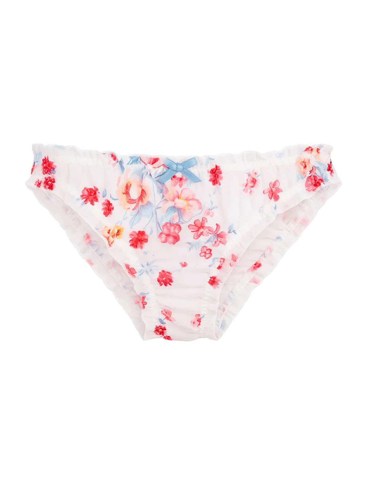 Sheer Blossom Brief Underwear