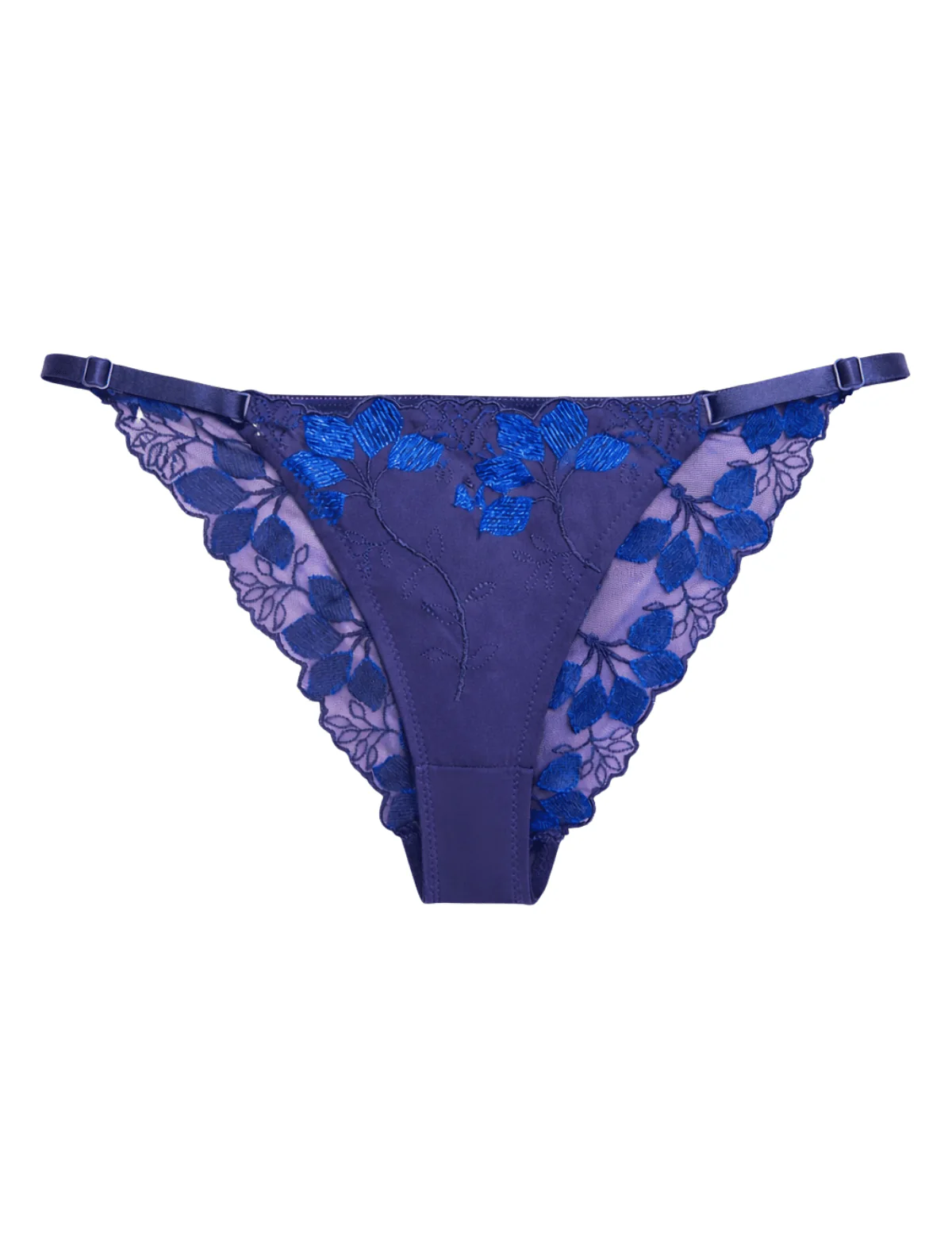 Enchanting Embroidered Cheeky